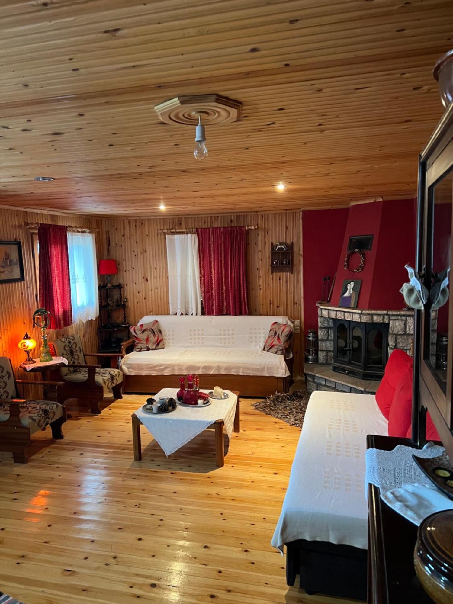 Traditional Wooden Apartment Koutsodímos Zewnętrze zdjęcie
